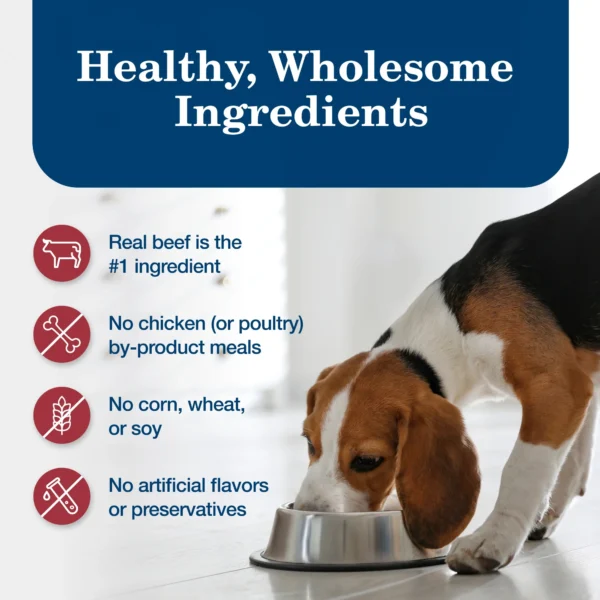 Blue Buffalo Homestyle Recipe Adult Wet Dog Food, Beef Dinner, 12.5-oz. Can - Image 4