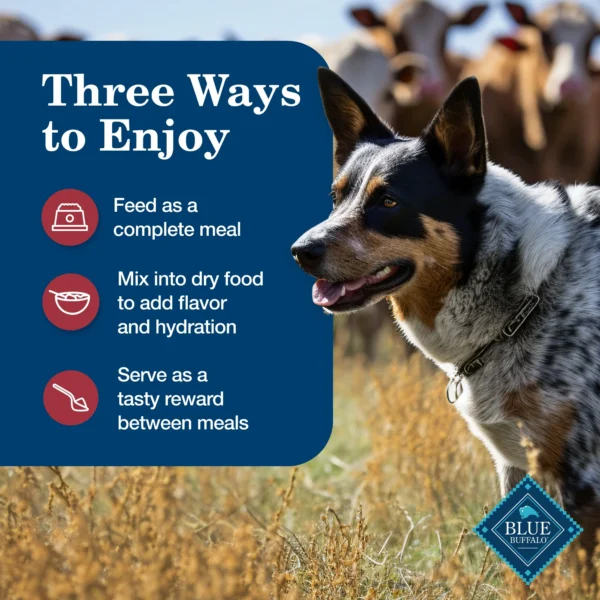 Blue Buffalo Homestyle Recipe Adult Wet Dog Food, Beef Dinner, 12.5-oz. Can - Image 3