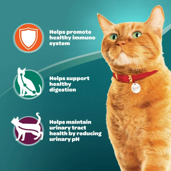 9Lives Plus Care Dry Cat Food, 3.15 lb. Bag - Image 6