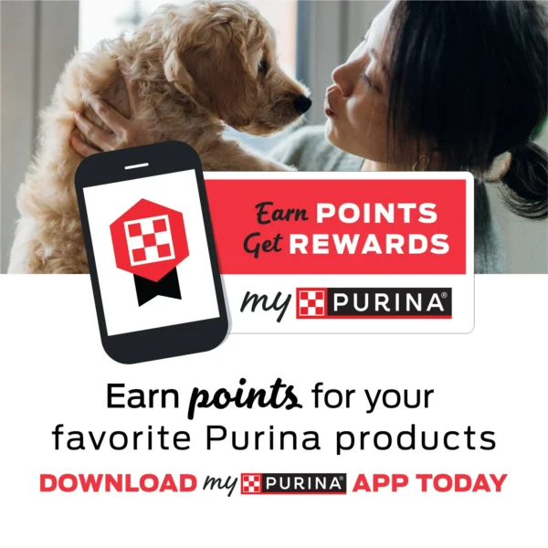 Purina Friskies Pureed Cat Food Toppers, Lil’ Shakes With Enticing Chicken Lickable Cat Treats - Image 6