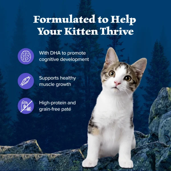 Blue Buffalo Wilderness Wet Kitten Food, Chicken & Salmon Variety Pack, 3-oz. (6 Count) - Image 2
