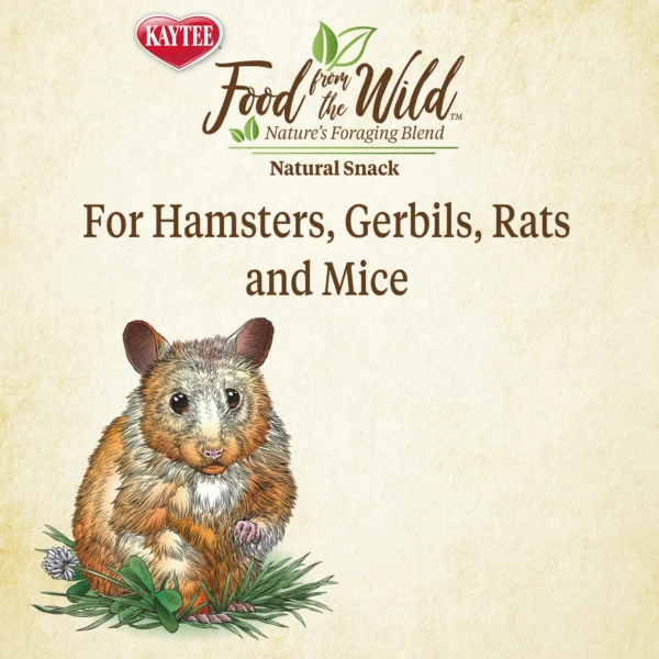 Kaytee Food From the Wild Natural Snack - Image 6