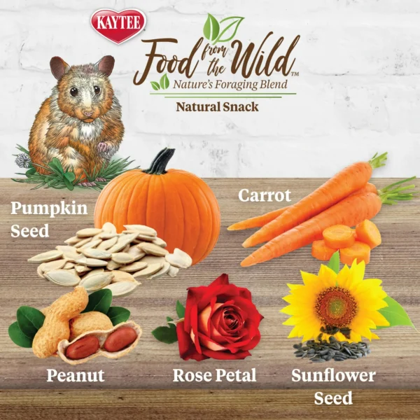 Kaytee Food From the Wild Natural Snack - Image 9