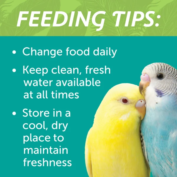 (2 pack) Pennington Small Breed Everyday Blend Dry Bird Food, for Parakeets, Canaries and Finches; 3 lb. Bag - Image 3