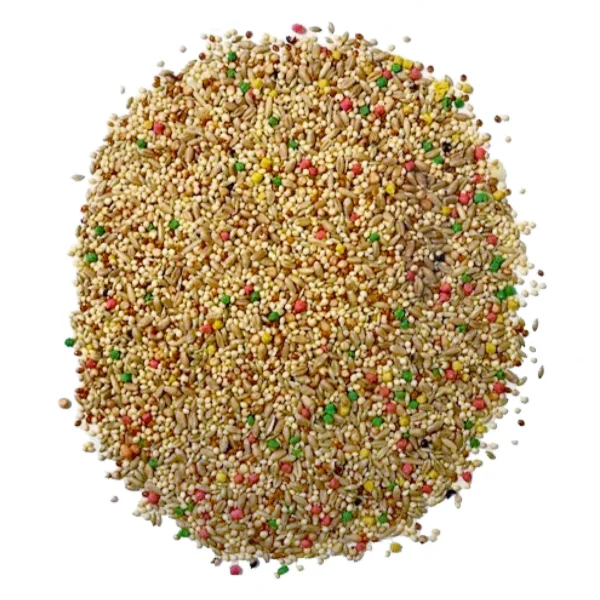 (2 pack) Pennington Small Breed Everyday Blend Dry Bird Food, for Parakeets, Canaries and Finches; 3 lb. Bag - Image 8