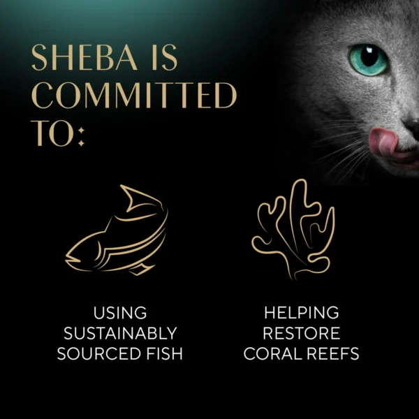 (6 pack) Sheba Perfect Portions Bistro Adult Wet Cat Food, Chicken in Alfredo Sauce Entree, 2.6 oz Twin-Pack Tray - Image 3