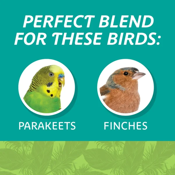 (2 pack) Pennington Small Breed Everyday Blend Dry Bird Food, for Parakeets, Canaries and Finches; 3 lb. Bag - Image 6