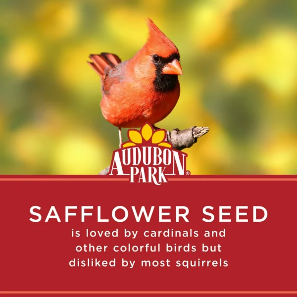 Audubon Park Safflower Seed Wild Bird Food, Dry, 1 Count per Pack, 5 lb. Bag - Image 6