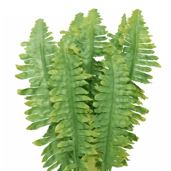 Komodo Reptile Green Artificial Silk Fern Plant for Tank, Aquarium Decor - Image 3