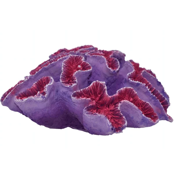 Komodo Curly Pink and Purple Coral Ornament, Aquarium Decor - Image 4