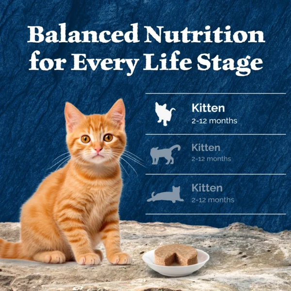 Blue Buffalo Wilderness Wet Kitten Food, Chicken & Salmon Variety Pack, 3-oz. (6 Count) - Image 8
