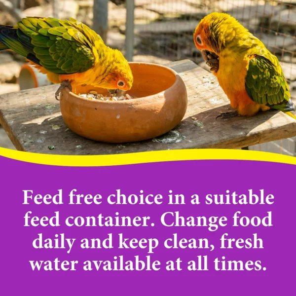 3-D Pet Products Premium Cockatiel Bird Food Seeds, with Probiotics, 4.5 lb. Stay Fresh Jar - Image 5